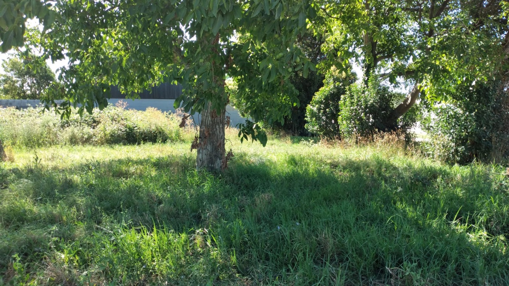 LOTE en esquina - Barrio Malvinas Agentinas