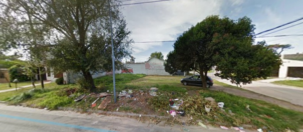 LOTE